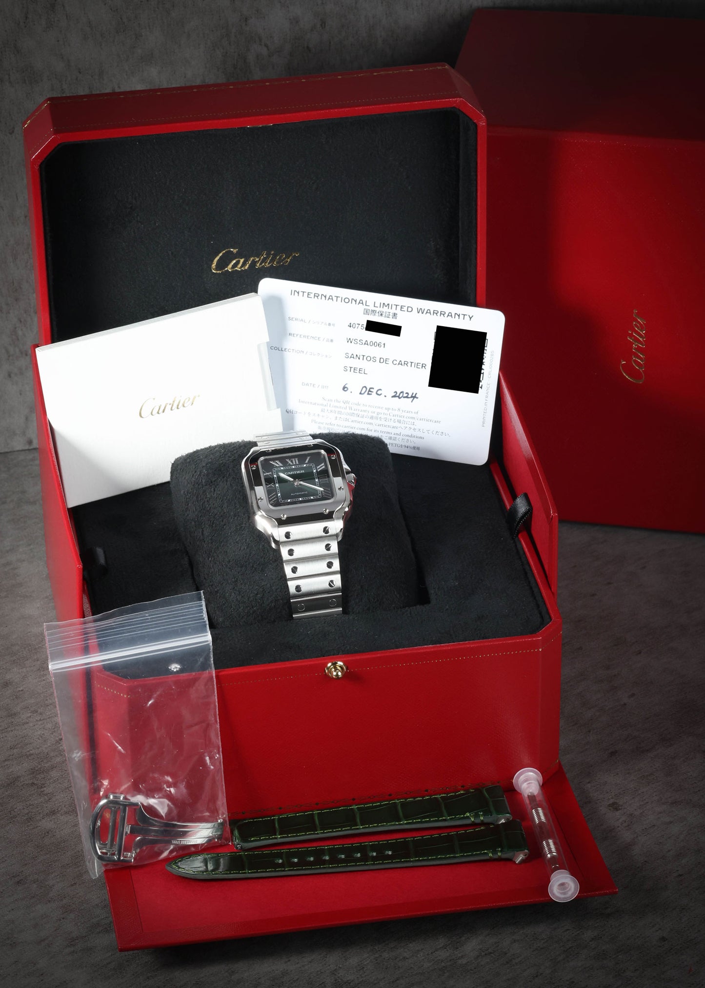 Preowned Cartier Santos de Cartier Green Degradé WSSA0061 35mm 2024 | Crown Vintage Watches