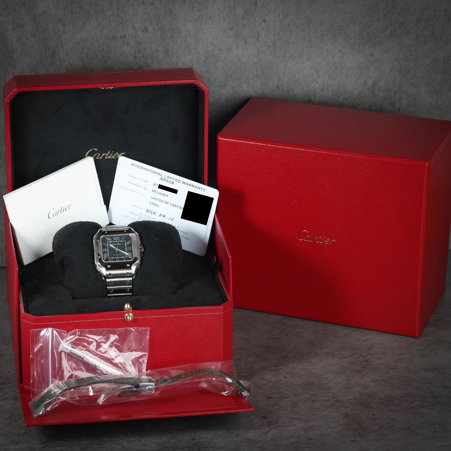 Preowned Cartier Santos de Cartier Green Degradé WSSA0061 35mm 2024 | Crown Vintage Watches